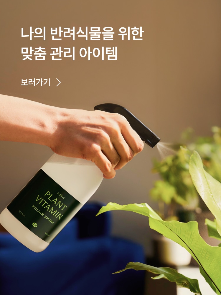 나의 반려식물을 위한 맞춤 관리 아이템