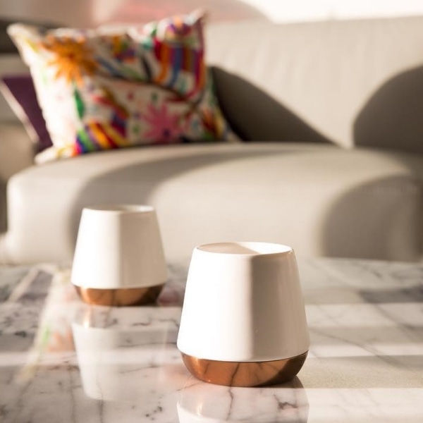 조이머그 12온즈(340ml)-화이트