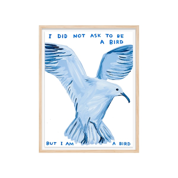 [FRAME] I Did Not Ask To Be a Bird﻿/ 데이비드 슈리글리