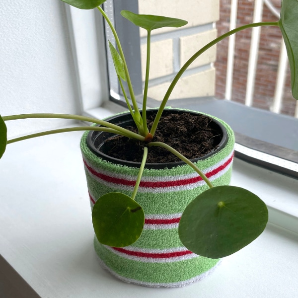 팟커버 / 그린티 pot cover - green s/t