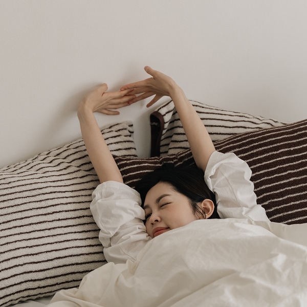 포근 모달 베개커버_쿠키