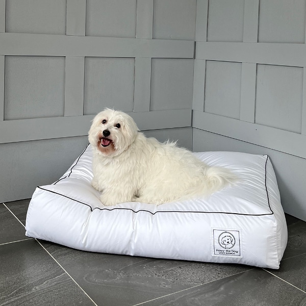 [헨리더독] 럭스 시그니처 강아지 쿠션 커버 (솜별도) (LS,S,LM.M,L,XL)