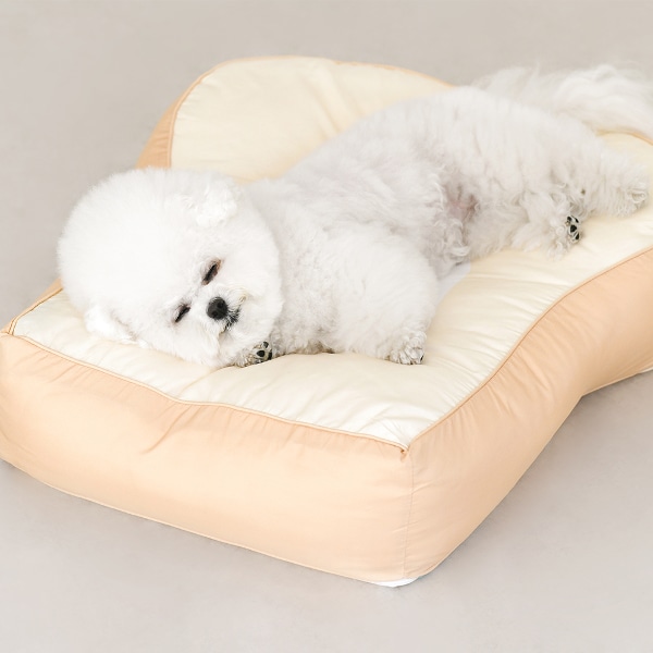 기절 식빵 댕냥쿠션