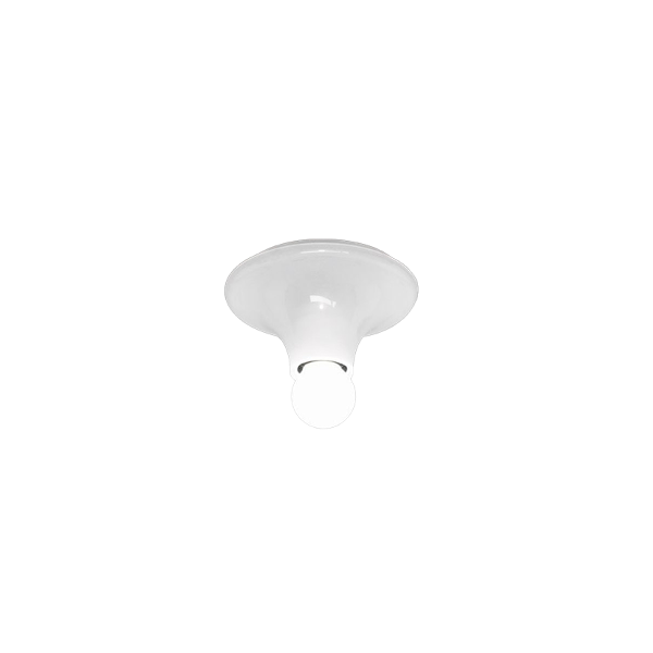 [15% 쿠폰] 테티 화이트 Teti White