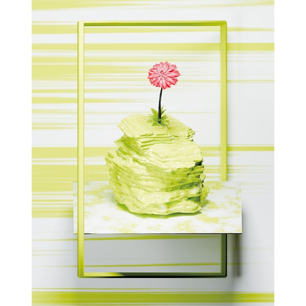 앳키 (at_ke_y) / Blooming Rock yellow_2024