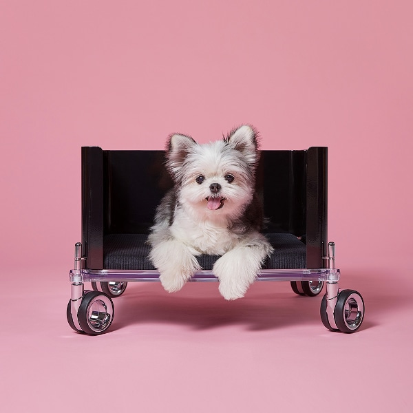 PATPAT Welcome Bed (5color) 강아지,고양이,소파,하우스,이동식베드