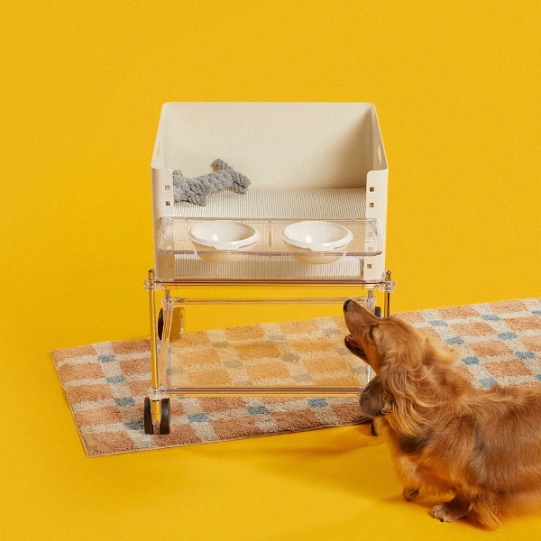 PATPAT Welcome Low Chair (Basic) 6color 웰컴체어