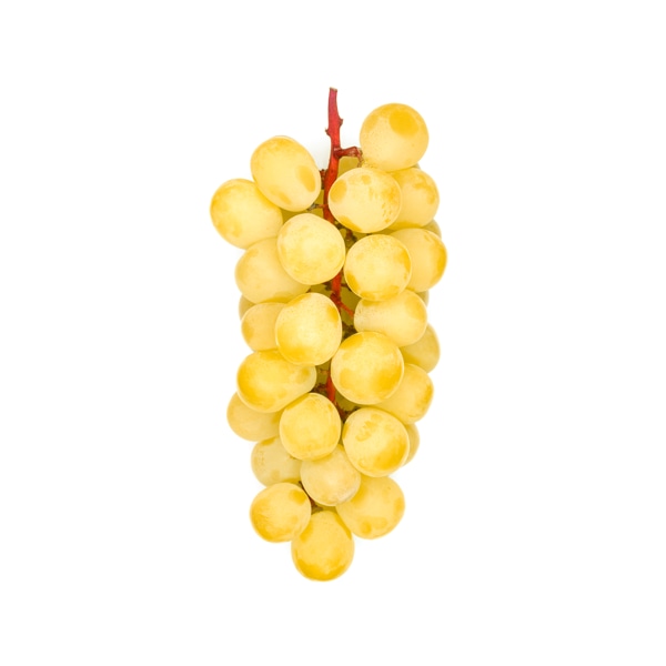 고 려명 /podo20240917 (+wood frame)