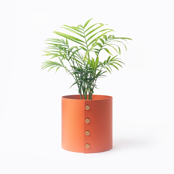 팟커버 S + 테이블야자