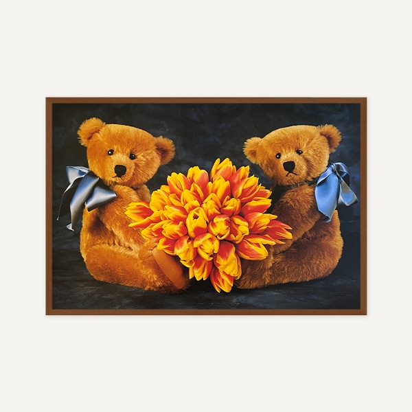 미르야 드 브리스 / Sunny Bears_액자 포함