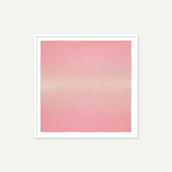 앤 노왁 / Pink Interstellar_액자 포함