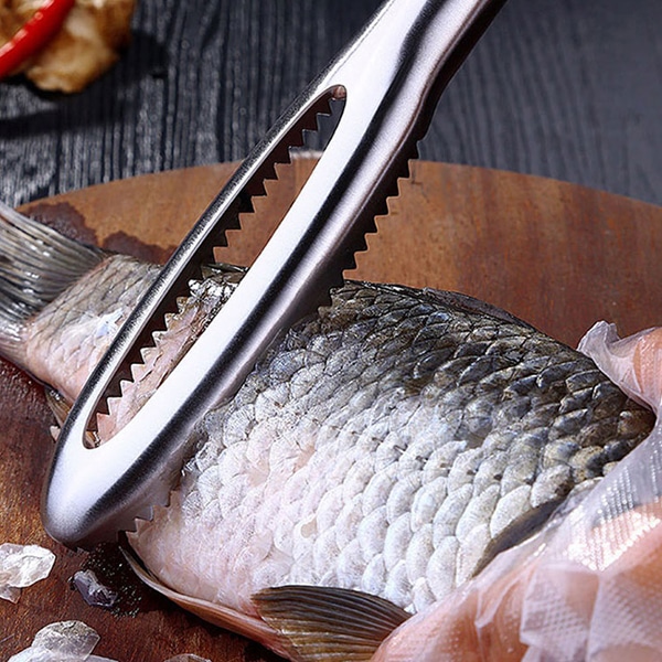 독일 SSGP 스텐 조리도구 생선스크래퍼 1p