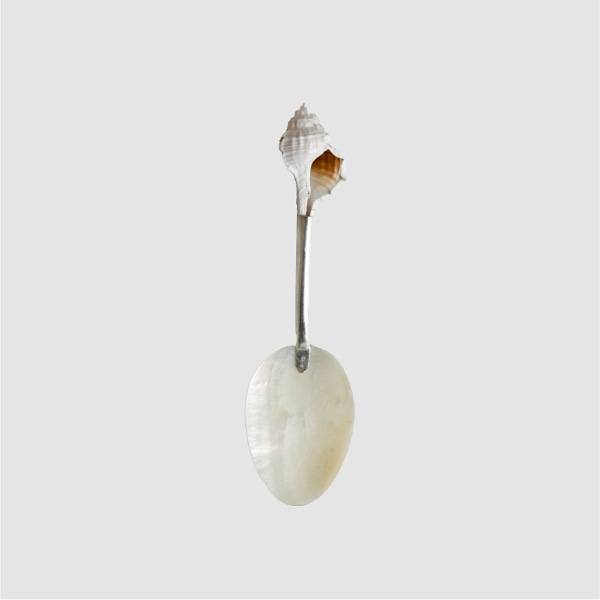 Seashell Desert Spoon 디저트 스푼