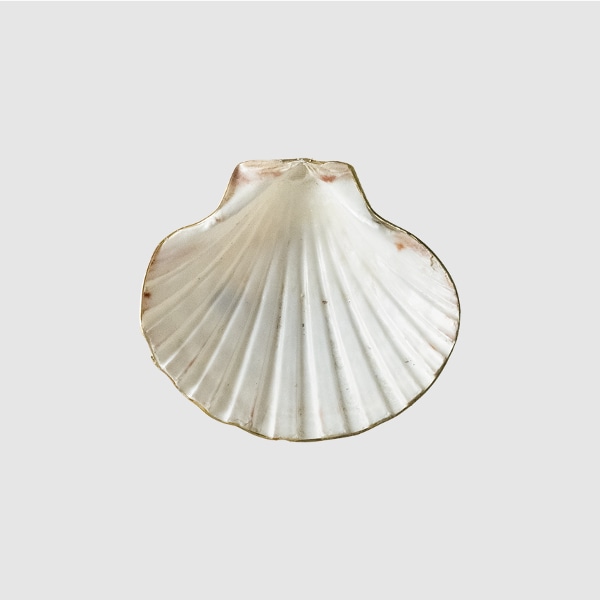 Seashell Brass Tray 악세사리 트레이
