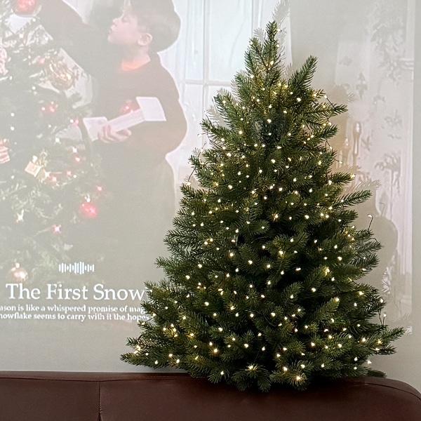 제이닷 프리미엄 크리스마스 벽트리 70cm PE 100