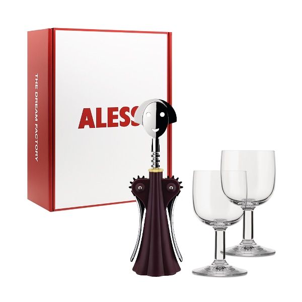 안나G 와인오프너 + 샴페인잔 2P 기프트 세트