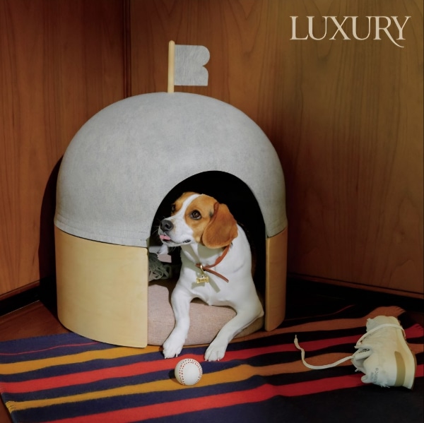 베르그앤릿지 R-Space