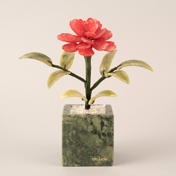 천연 옥꽃 카네이션 한송이 사각