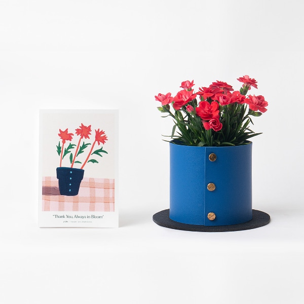 [Pre-Order] 카네이션 + 팟커버 XS 리미티드 셋업