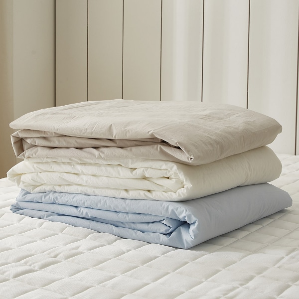 샤르르 파우제 60수 순면 냉감 여름이불 2size 3컬러