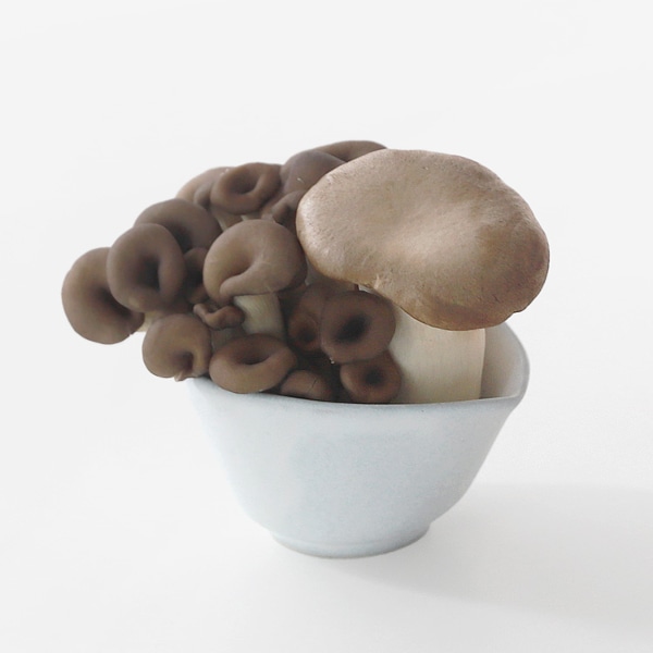 아쿠아 료구치 깊은 종지